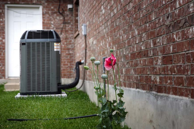 Outdoor AC unit next to a pink flower