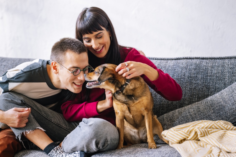 A lovely couple sitting on the sofa and playing with their dog.