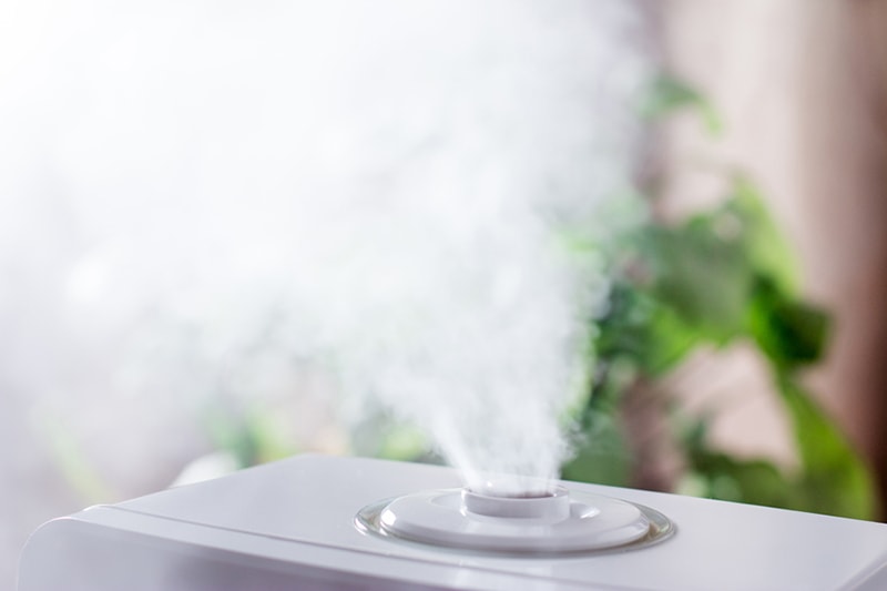 Steam humidifier in the house