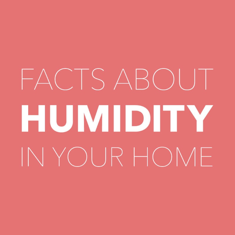 Facts About Humidity in Your Home